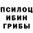 Псилоцибиновые грибы GOLDEN TEACHER dtem Game
