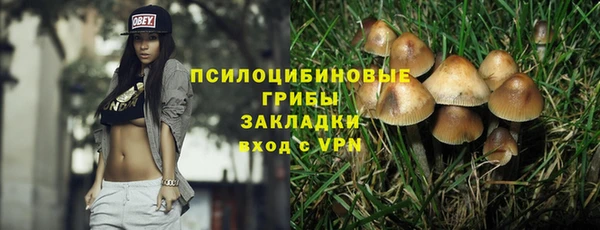 гашик Армянск